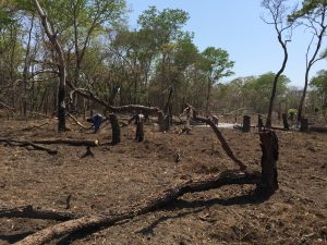 Drought in Mozambique by Kepa is licensed under CC BY-NC 2.0