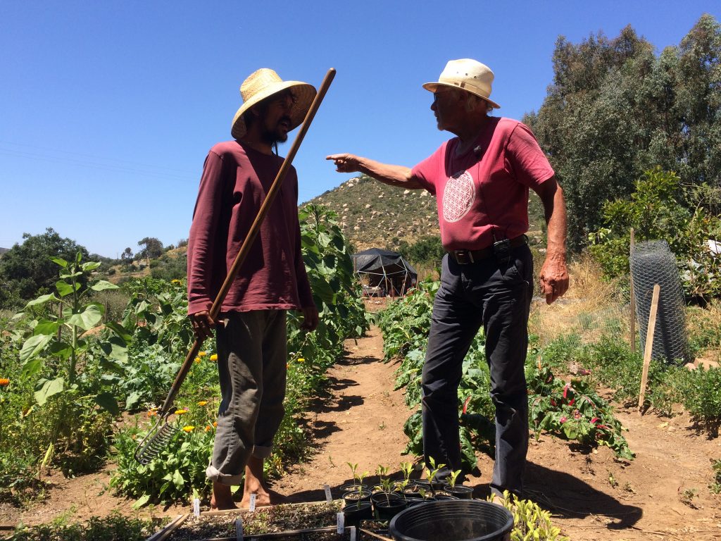 Juaquin Hershman with his former student Hans Erik Hjermstad in the Terra Madre Gardens, California. Photo by Morten Steiniche.